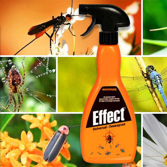Универсален препарат против насекоми Effect
